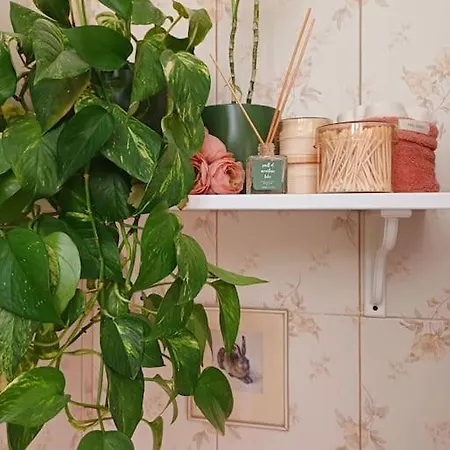 River Nest Cluj-Napoca